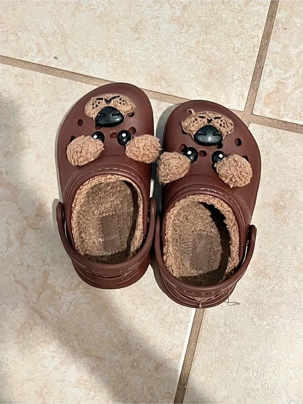 Crocs Classic Clog Brown Character Clogs